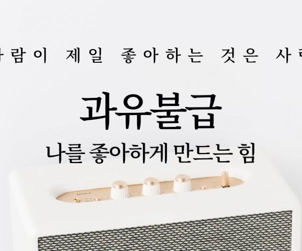 나를 좋아하게 만드는 힘