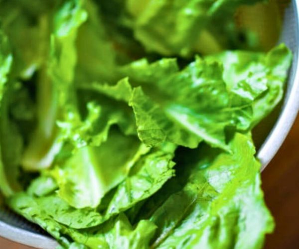 Lettuce can be kept ‘crispy and fresh’ for up to 30 days – stop it going soggy