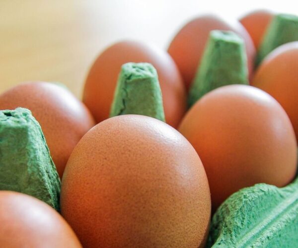 Egg storage tip that keeps them staying as fresh as possible