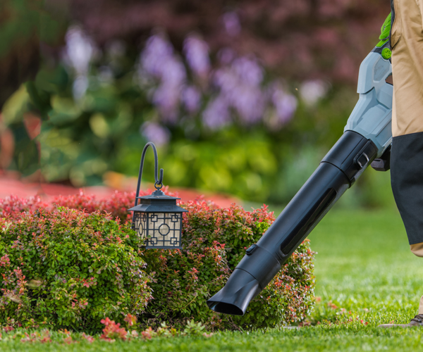 Save big with these picks if you want to go green with your lawn care