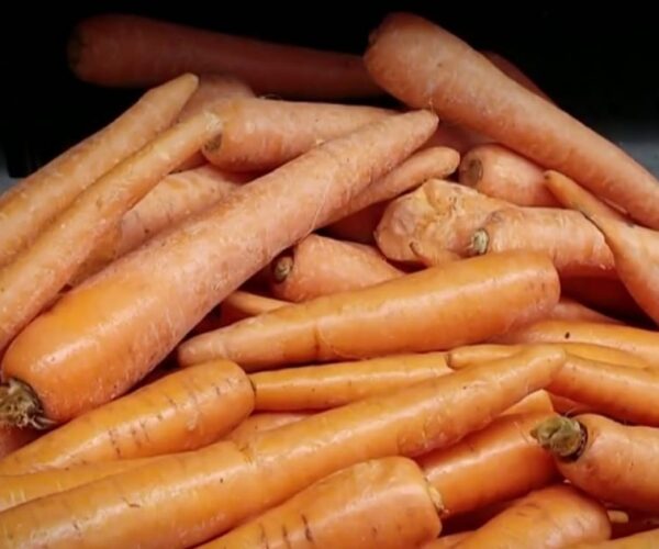 E-Coli outbreak in select organic carrots kills one